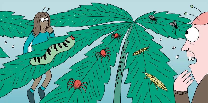 Las nueve peores plagas del cultivo y cómo combatirlas 