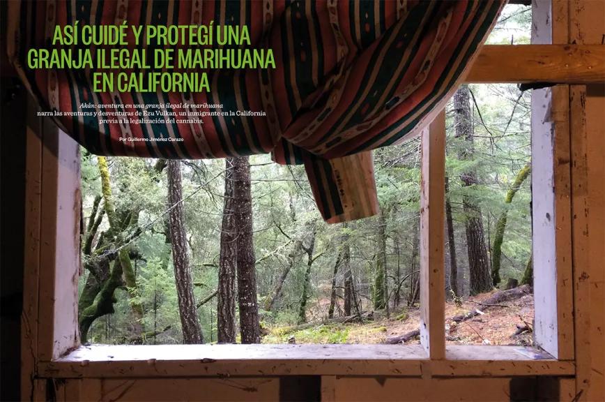 Así cuidé y protegí una granja ilegal de marihuana en California 