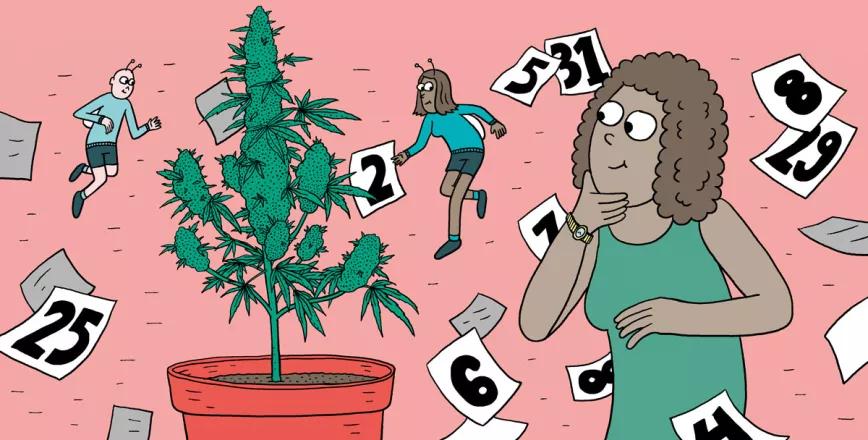 Cómo cosechar dentro de sesenta días o menos: doce pasos para controlar la floración 