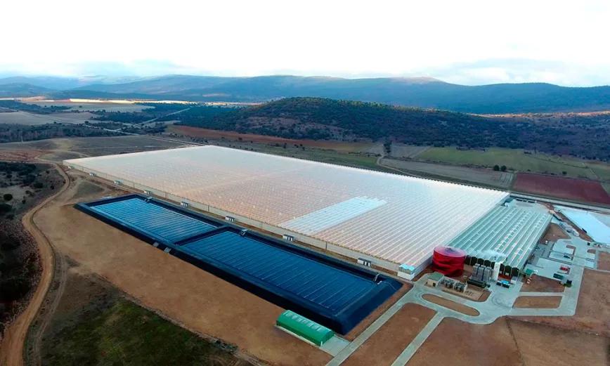 UGT pide a Sanidad la licencia de cannabis para la empresa Ondara en Garray (Soria)