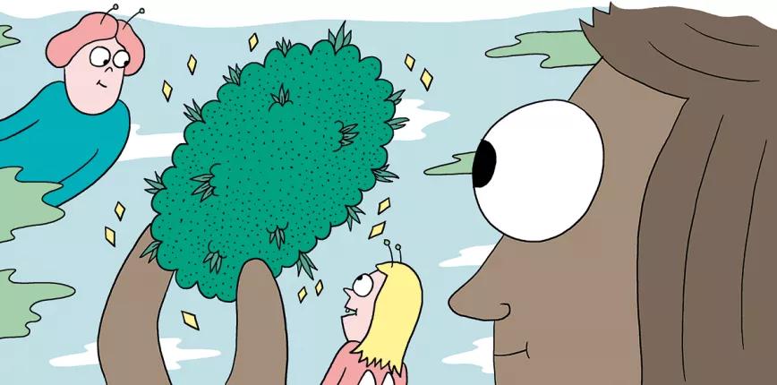 Once claves para la fertilización: como conseguir los mejores cogollos