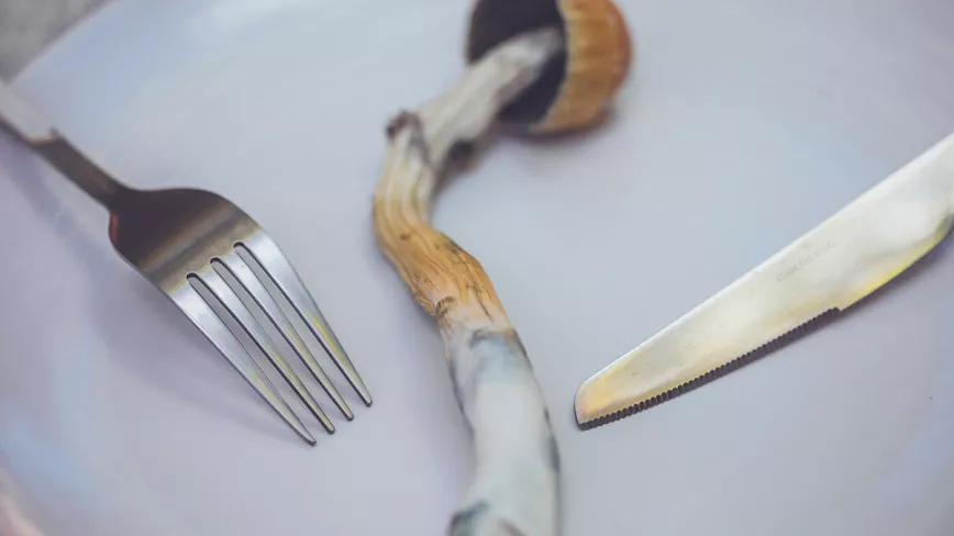 Un estudio probará la terapia con psilocibina contra la anorexia nerviosa