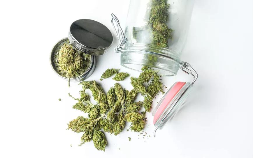 Un estudio examina las prácticas de reducción de daños en los clubs de cannabis catalanes