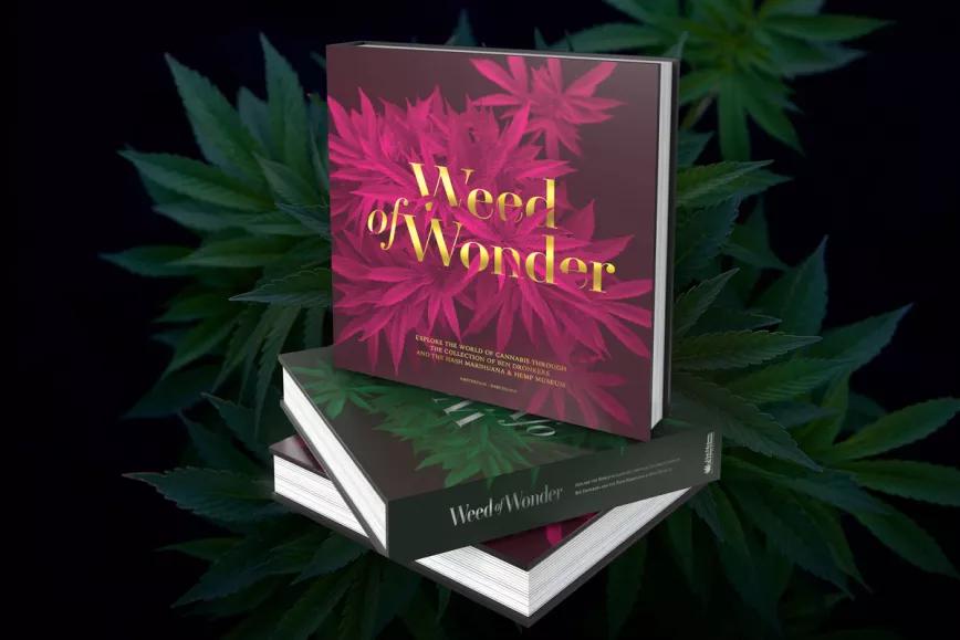 Weed of Wonder, el libro ilustrado sobre la historia del cannabis