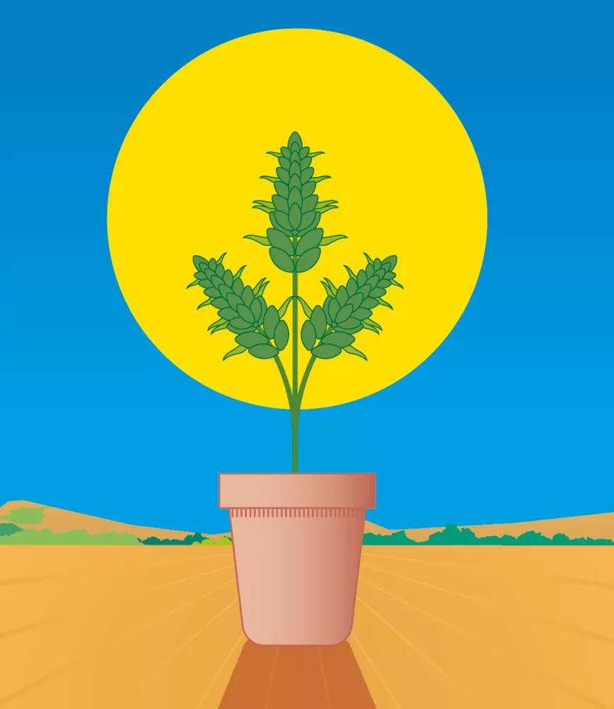 Lunario de agosto del 2021 