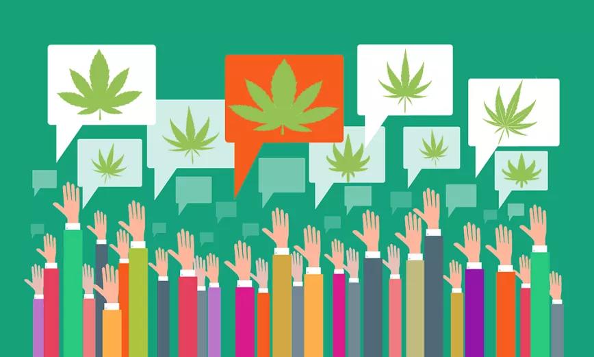 Datos del consumo y el apoyo a la regulación del cannabis en España