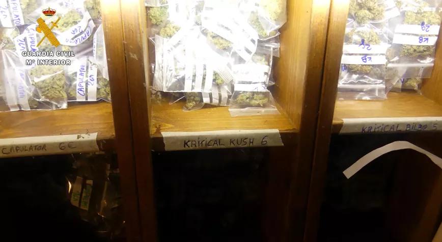 La Guardia Civil interviene una asociación cannábica cántabra y detiene a sus dos responsables