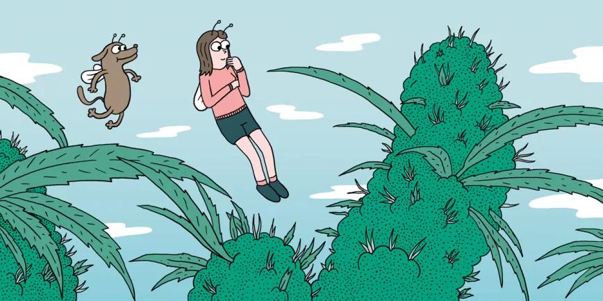 Diez consejos para una buena floración