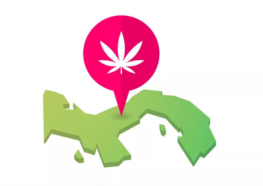 La Asamblea Nacional de Panamá aprueba definitivamente la regulación del cannabis medicinal