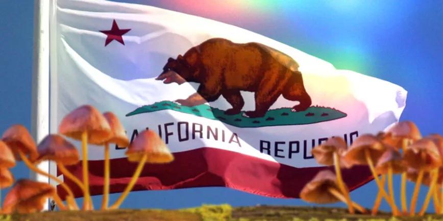 La regulación de los psicodélicos en California se paraliza para conseguir más apoyos 