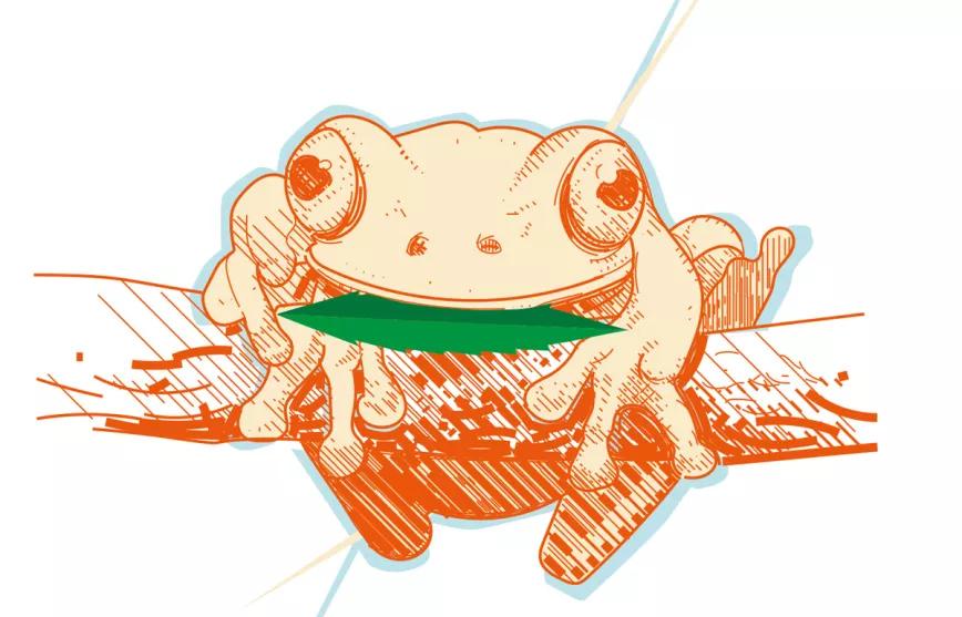 Observatorio Norteamericano  México 