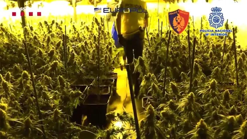 Una tonelada de hachís y más de 100 detenidos en una operación contra una mafia albanesa