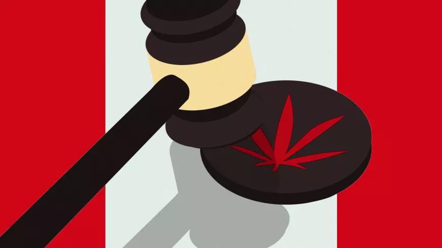 La Corte Suprema de Canadá decidirá sobre el derecho al autocultivo en Quebec