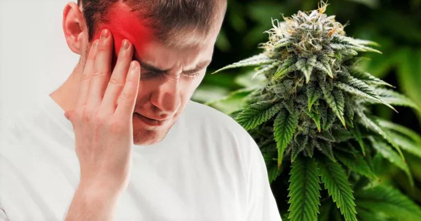 El cannabis puede servir para reducir las migrañas de origen indeterminado según una revisión científica