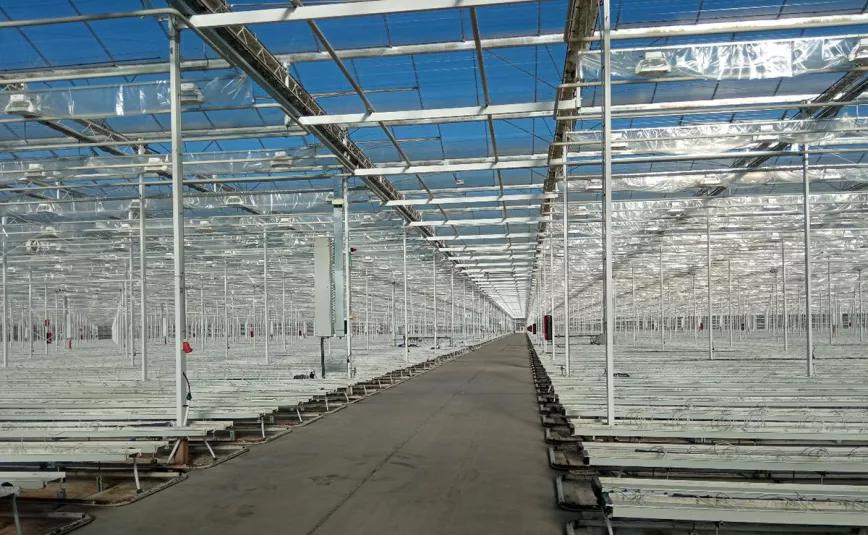 Ondara, a la espera de recibir los esquejes para iniciar los cultivos de cannabis