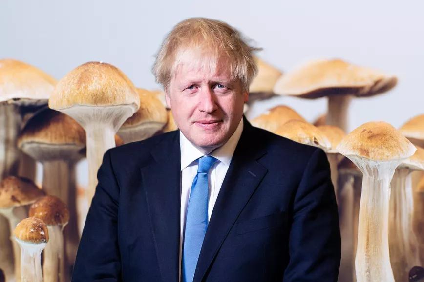 Un diputado británico asegura que Boris Johnson aprobó reclasificar la psilocibina