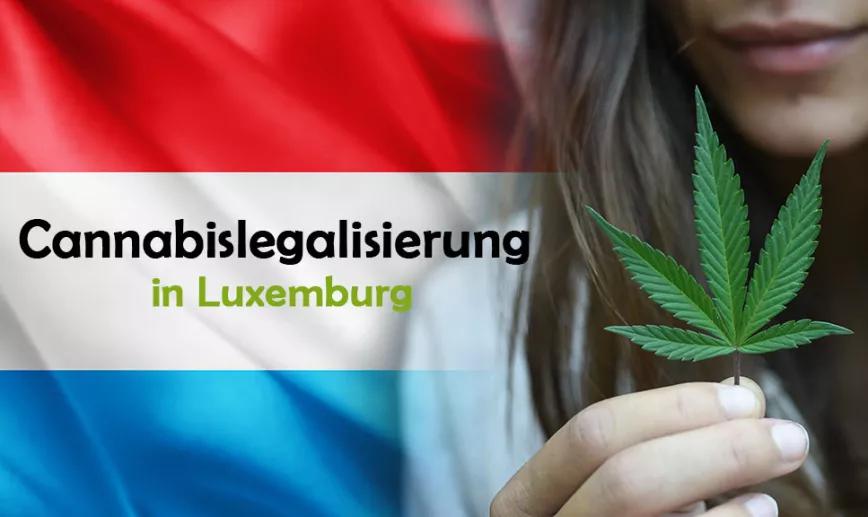 El Gobierno de Luxemburgo podría recular y no permitir la venta de cannabis para adultos