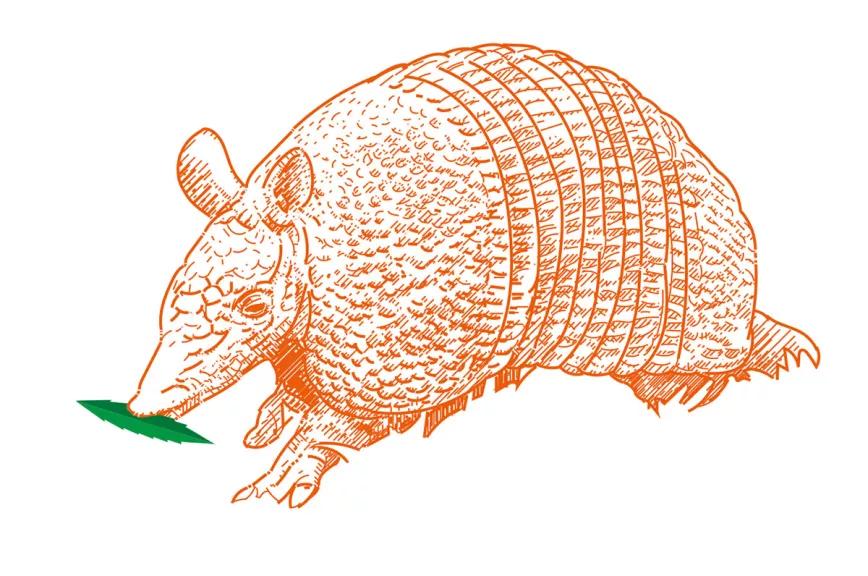 Observatorio Norteamericano Encerrados por fumar 