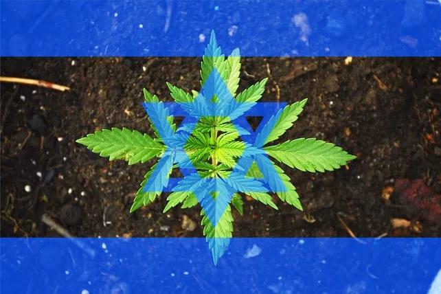 El Parlamento de Israel aprueba un proyecto para permitir el autocultivo medicinal a los pacientes
