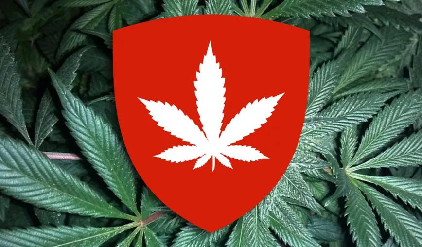 Suiza elaborará un proyecto de regulación integral del cannabis