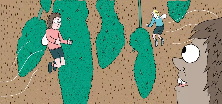 Ocho trucos para secar y curar los cogollos como los profesionales