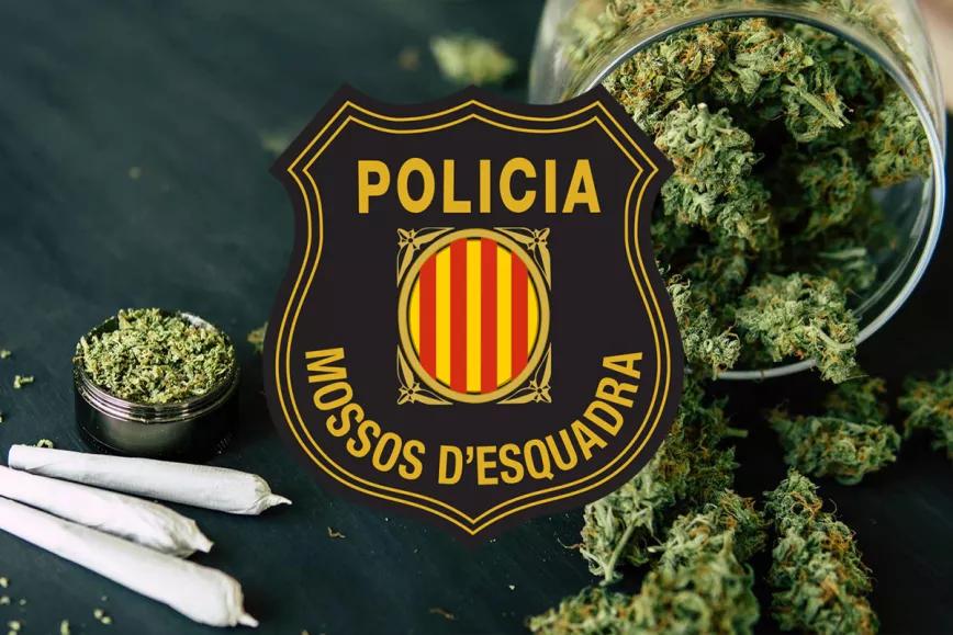 Los Mossos proponen legalizar el cannabis para acabar con la amenaza de las mafias y el mercado negro