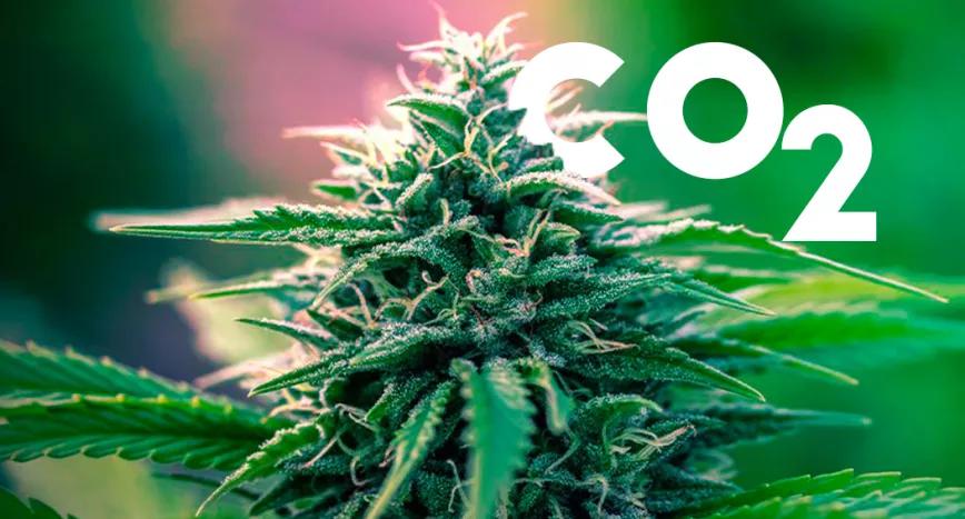 Como fabricar CO2 en casa 