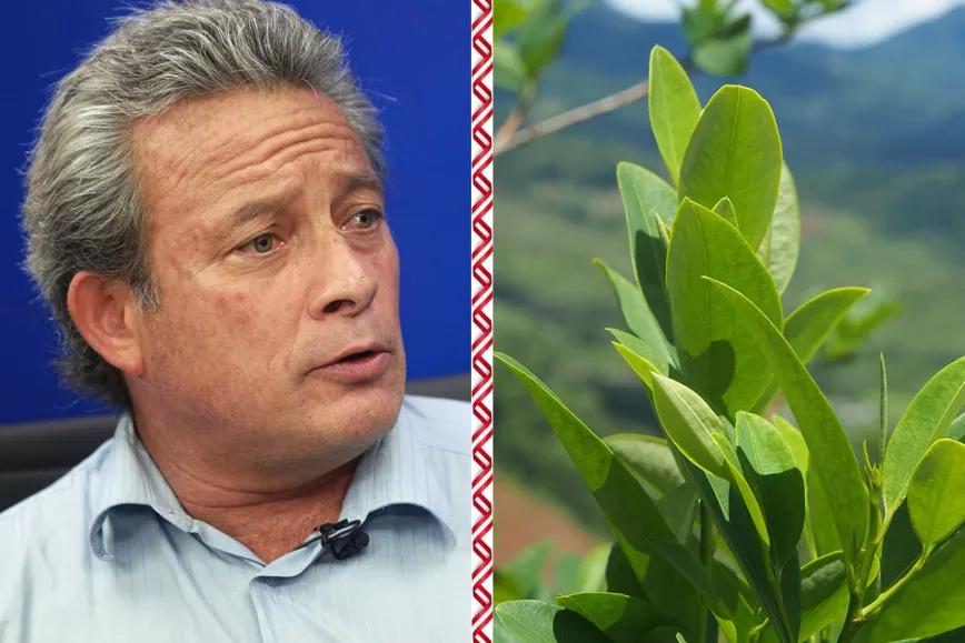 El nuevo titular de la administración sobre drogas de Perú apoya los cultivos tradicionales de hoja de coca