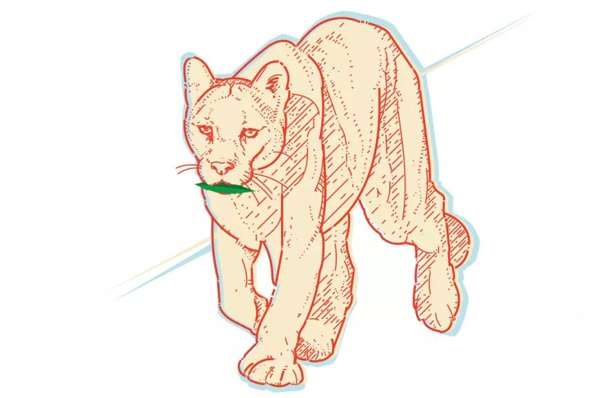 La otra pandemia Por Oswaldo Pérez Cabrera 