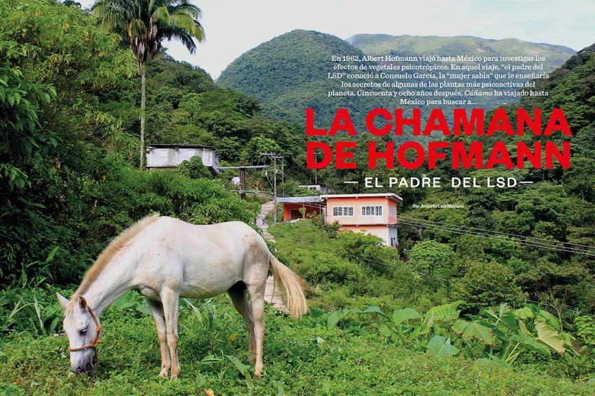 La chamana de Hofmann