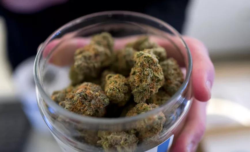 La Audiencia de Sevilla absuelve a los responsables de un club cannábico