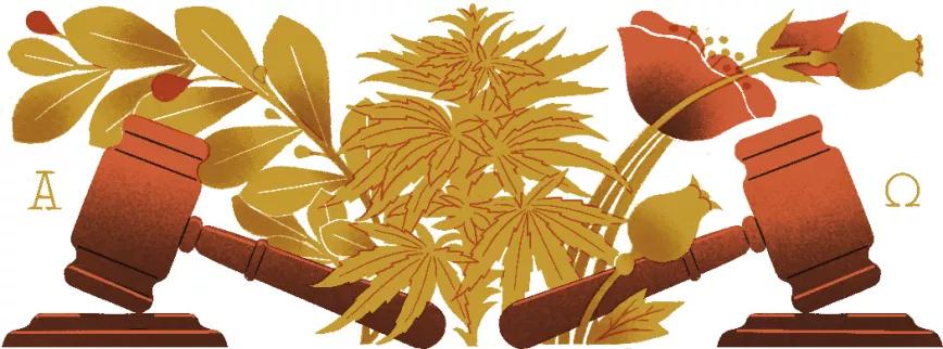 Plazo máximo de prisión provisional en España