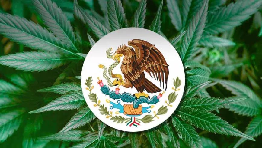 La regulación del cannabis en México se demora a 2022
