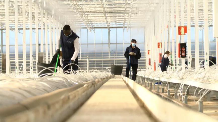 Ondara se compromete a reincorporar a los 151 empleados cuando consiga el permiso de la AEMPS   