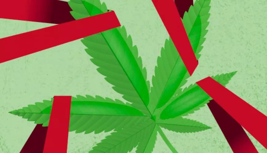 Regulación y abusos policiales