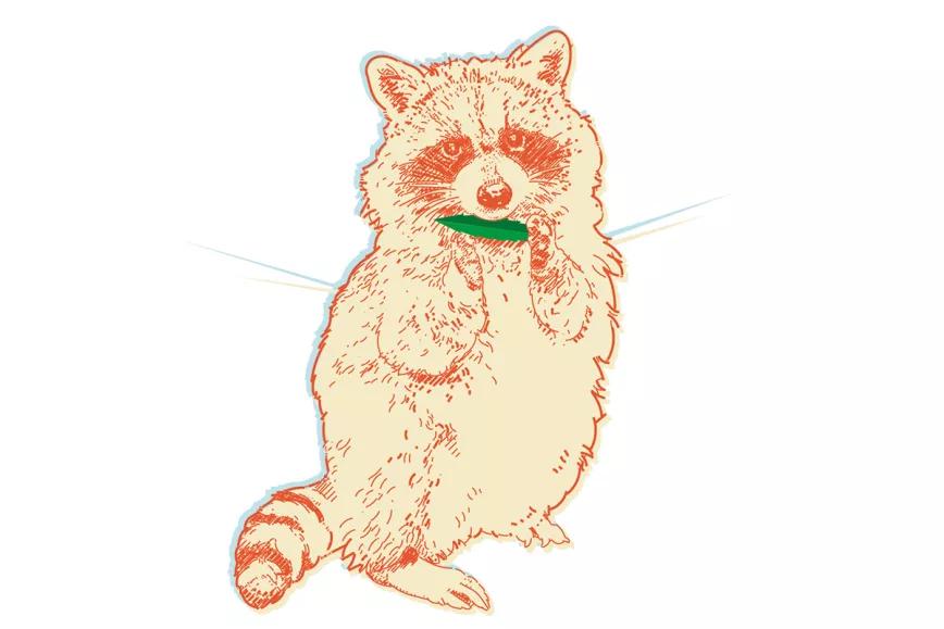 Sobredosis en Canadá Por Oswaldo Pérez Cabrera 