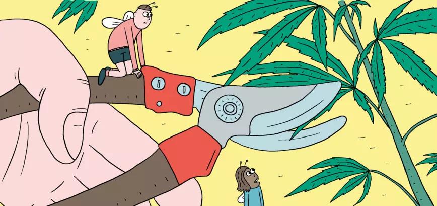 Siete técnicas para podar las plantas en interior