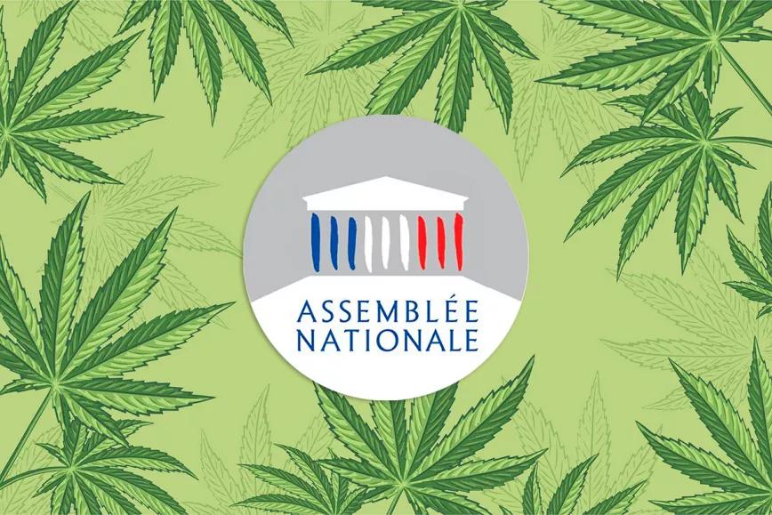 Un proyecto de legalización del cannabis llega hoy al Parlamento francés