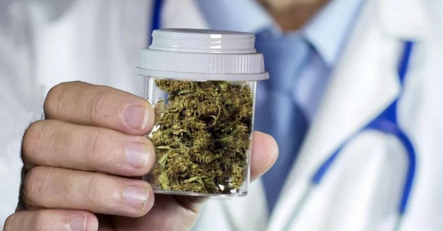 Polonia tramita una ley para legalizar la producción de cannabis medicinal