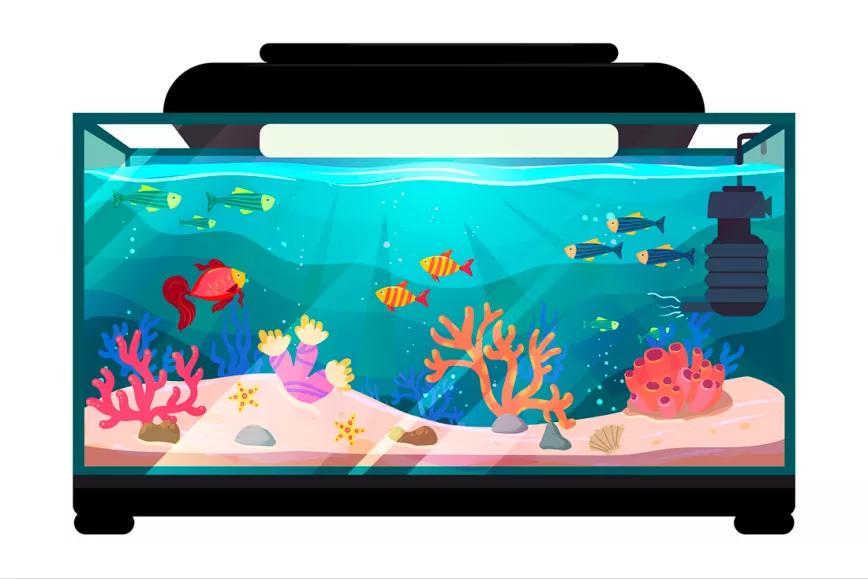 Regar con el agua del acuario 