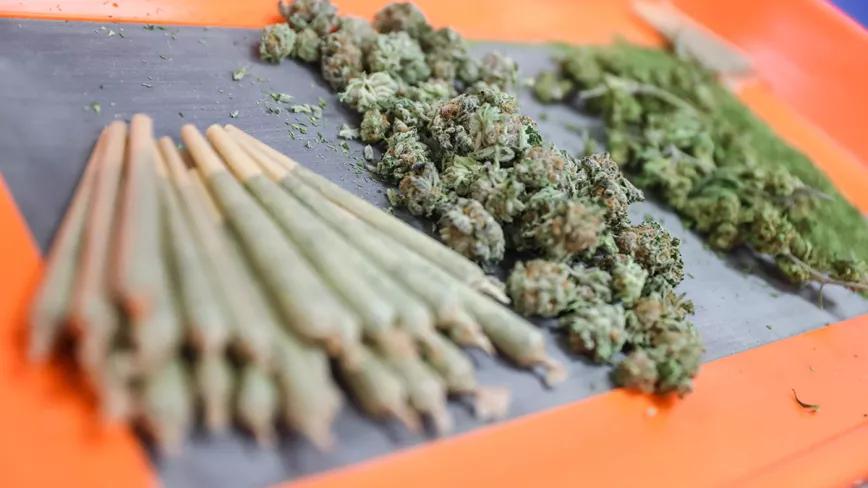 Una jueza de Palma absuelve a dos responsables de un club cannábico acusados de tráfico