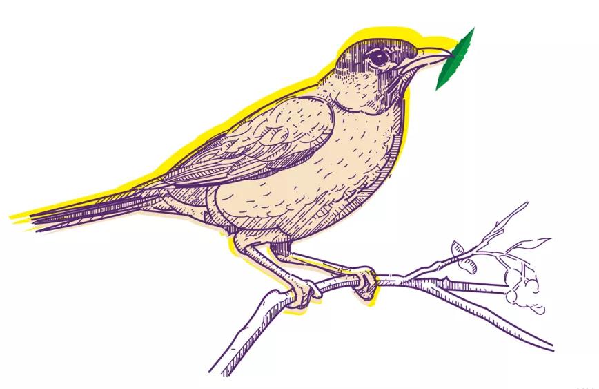 Detroit Por Oswaldo Pérez Cabrera 