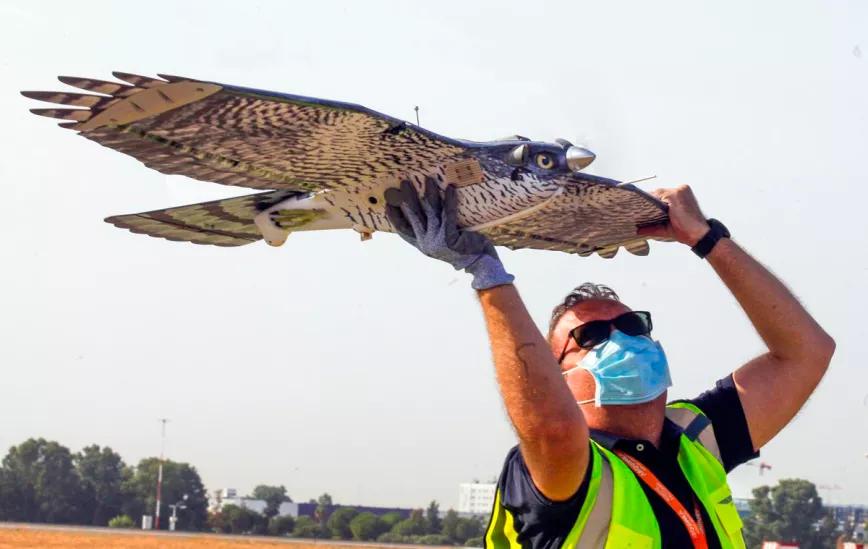 La Guardia Civil encarga dos drones con forma de pájaro para realizar seguimientos encubiertos