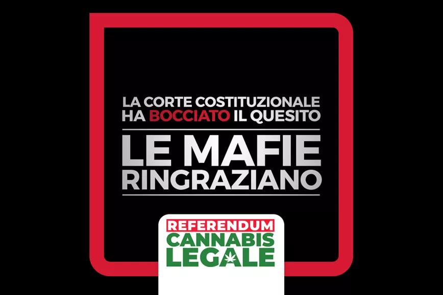 El Constitucional italiano tumba el referéndum para despenalizar el autocultivo de cannabis  