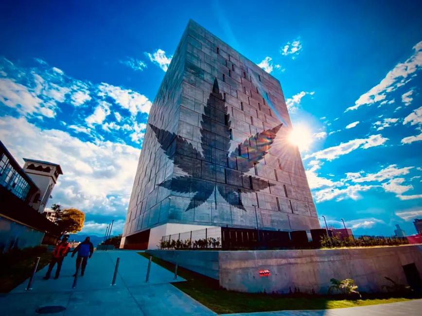 Costa Rica inicia las modificaciones de la ley de cannabis medicinal tras el veto presidencial