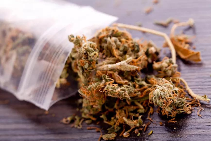 Un club de cannabis de Ibiza denuncia un registro de la policía sin orden judicial