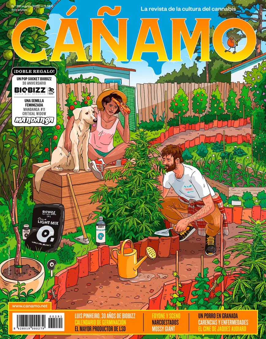 Revista Cáñamo #291