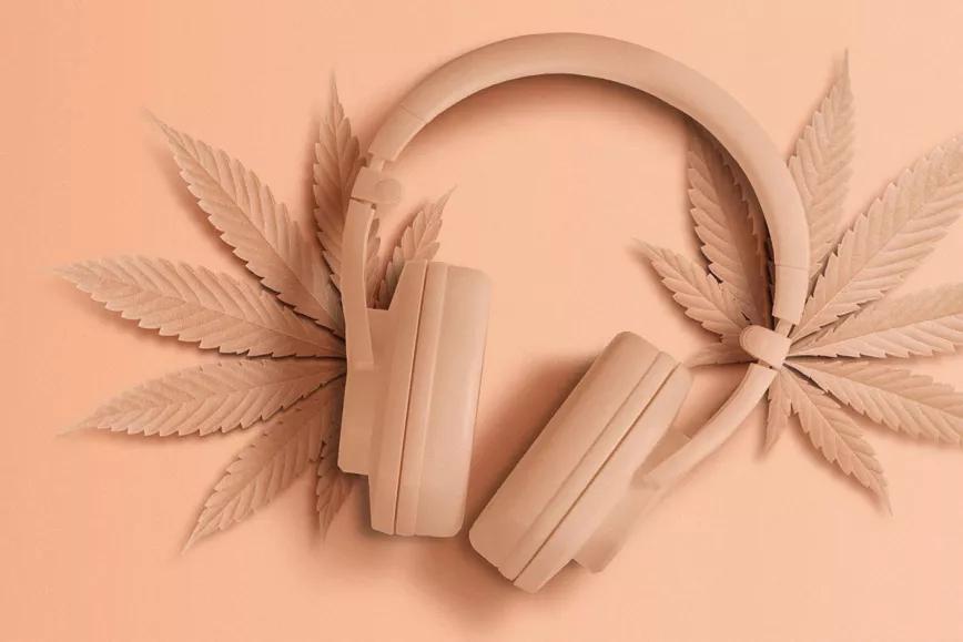 El cannabis es la droga que más casa con distintos gustos musicales según una encuesta