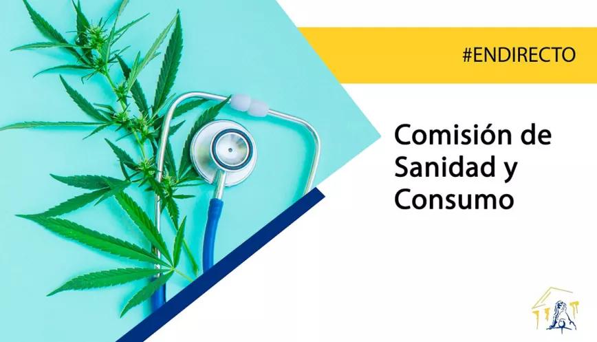 Arrancan las comparecencias de expertos en la subcomisión de cannabis medicinal