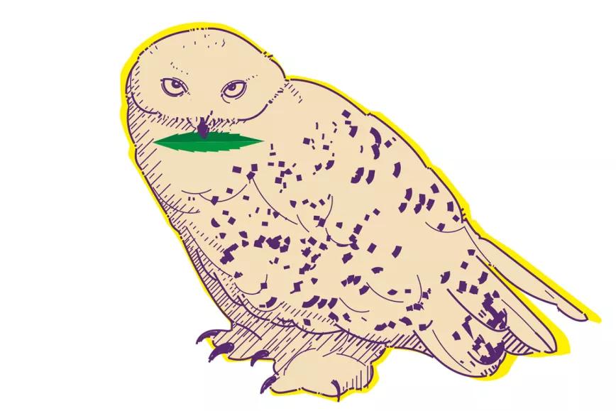 ¿Por qué, con tanta tecnología y estudios que demuestran la inocuidad y los beneficios del cannabis, aún sigue estando prohibido en casi todos los países?